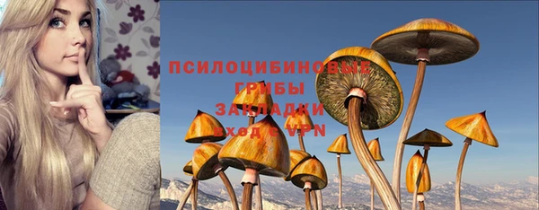 МДМА Заводоуковск