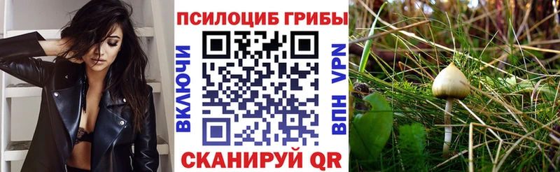 Купить закладки  Усть-Лабинск  Псилоцибиновые грибы MAGIC MUSHROOMS 
